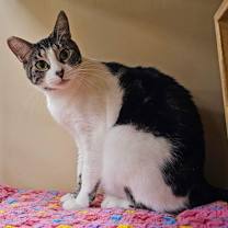 Thumbnail photo of Garmin #4