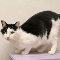 Thumbnail photo of Johnny #4