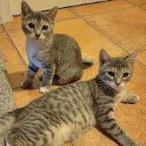 Thumbnail photo of Wolfman Jack #2