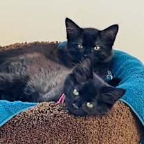 Thumbnail photo of Elizabeth #3