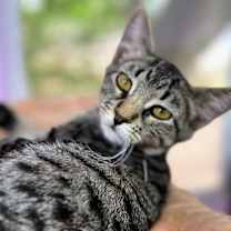 Thumbnail photo of Order #4