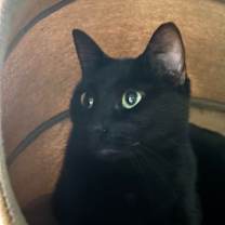 Thumbnail photo of Delilah #2