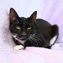 Thumbnail photo of Ingrid #3