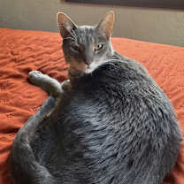 Thumbnail photo of Rain #2