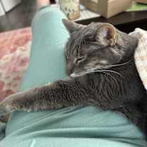 Thumbnail photo of Rain #3