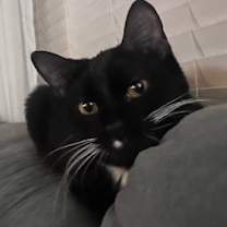 Thumbnail photo of Lil Bit & Honey #1