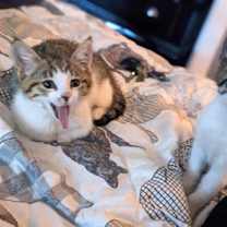 Thumbnail photo of Foggy #4