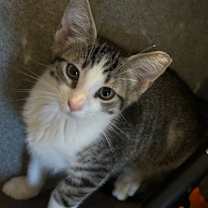 Thumbnail photo of Tenerife Sea #1