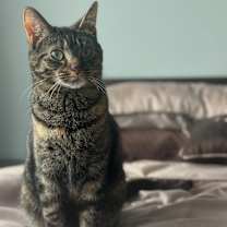 Thumbnail photo of Baby #3