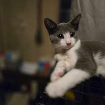 Thumbnail photo of Johnny (w/ Kendalyn) #2