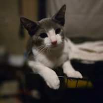 Thumbnail photo of Johnny (w/ Kendalyn) #3