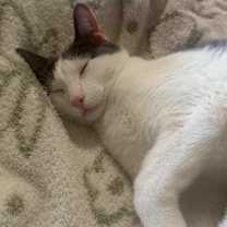 Thumbnail photo of Milo #4