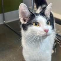 Thumbnail photo of Sally Superstar #2