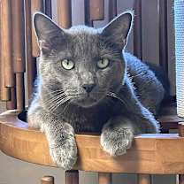 Thumbnail photo of Spencer #1