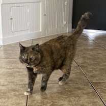 Thumbnail photo of Tia #3