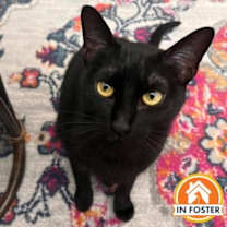 Thumbnail photo of Gloria #2