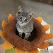 Thumbnail photo of James #1