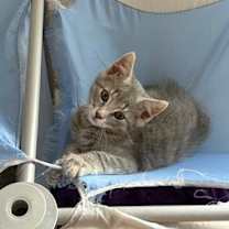 Thumbnail photo of James #2