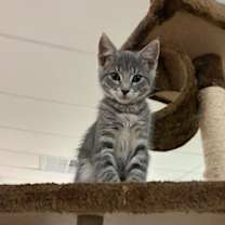 Thumbnail photo of James #3