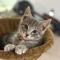 Thumbnail photo of James #4