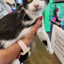 Thumbnail photo of Zula #3