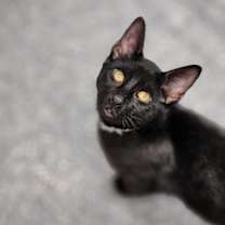 Thumbnail photo of Crew #1