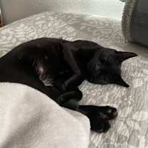 Thumbnail photo of Zuko #2