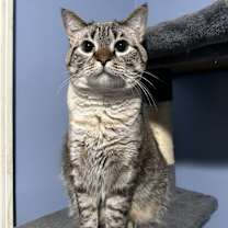 Thumbnail photo of Luca #1