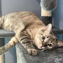 Thumbnail photo of Luca #3