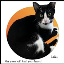 Thumbnail photo of Lelia - Forever Lovey, Friend #1