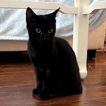 Thumbnail photo of Glitch #1