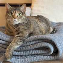 Thumbnail photo of Gigi #2