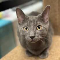 Thumbnail photo of Tom 2 #1