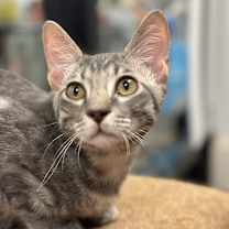 Thumbnail photo of Jerry  #1