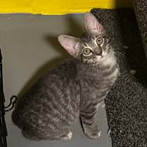 Thumbnail photo of Jerry  #2