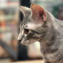 Thumbnail photo of Jerry  #3