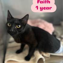 Thumbnail photo of Faith #2