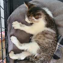 Thumbnail photo of Shirley #2