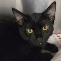 Thumbnail photo of Declan O #3