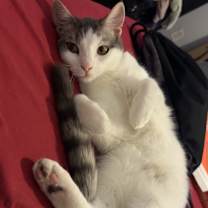 Thumbnail photo of Sage #2