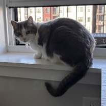 Thumbnail photo of Gracie #2