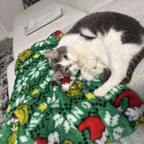 Thumbnail photo of Gracie #3