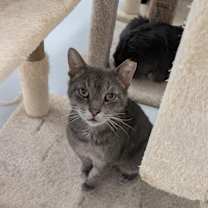 Thumbnail photo of Tom #4