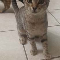 Thumbnail photo of Loretta Durkin #4