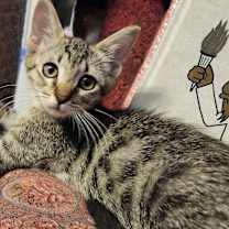 Thumbnail photo of Terry #3