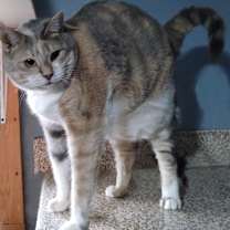 Thumbnail photo of Sweet Girl Peaches #3