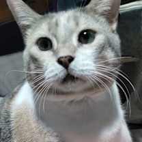 Thumbnail photo of Sweet Girl Peaches #4