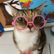 Thumbnail photo of Princey #2