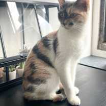 Thumbnail photo of Sophie Steward #4