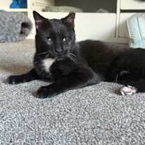 Thumbnail photo of Toad #2